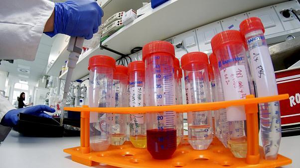 Italian scientists isolate DNA sequence of coronavirus | Euronews